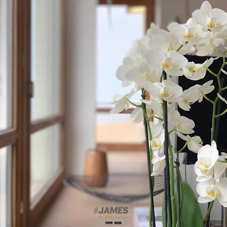 Schitterend, Ruim Design Appartement Met Frontaal Zeezicht Ref J00764 Knokke-Heist